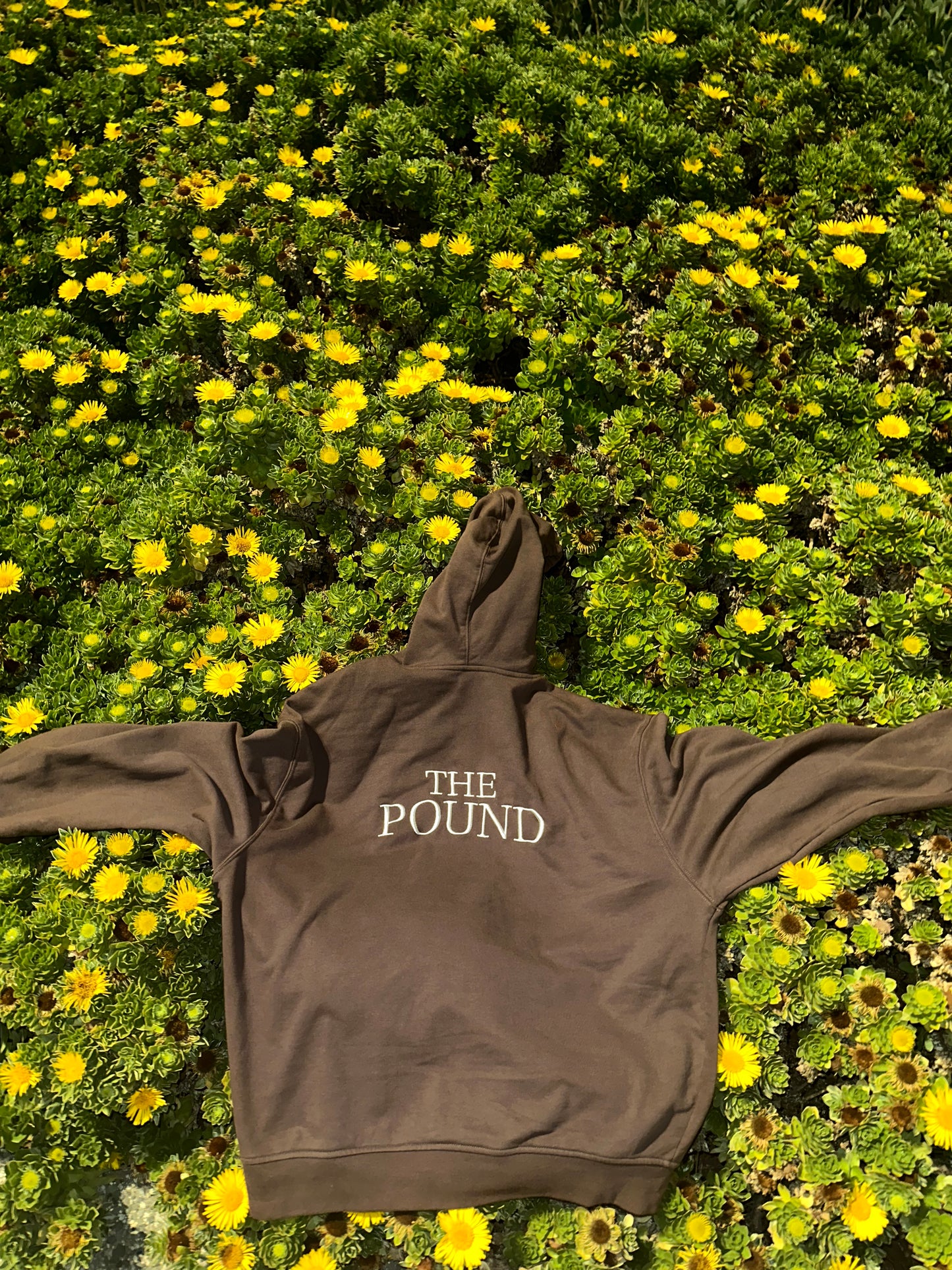The Pound Hoodie